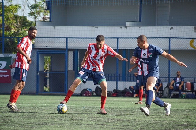 起新的高潮 起新的高潮