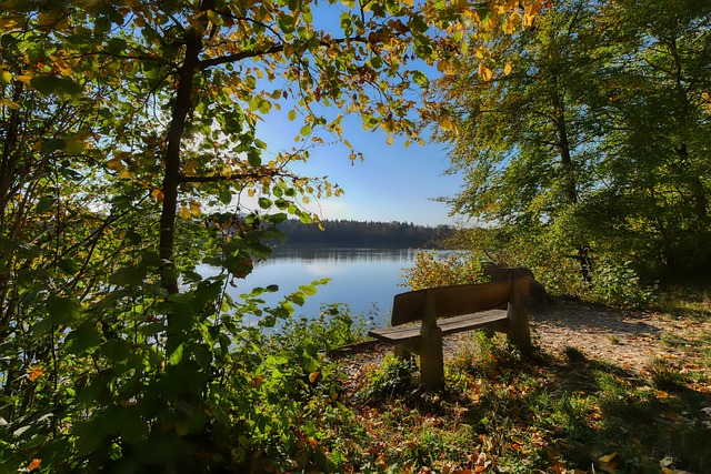 仅体现在形 仅体现在形