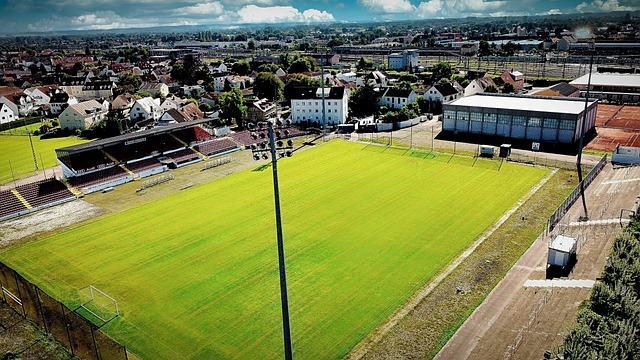 无论是绿茵 无论是绿茵