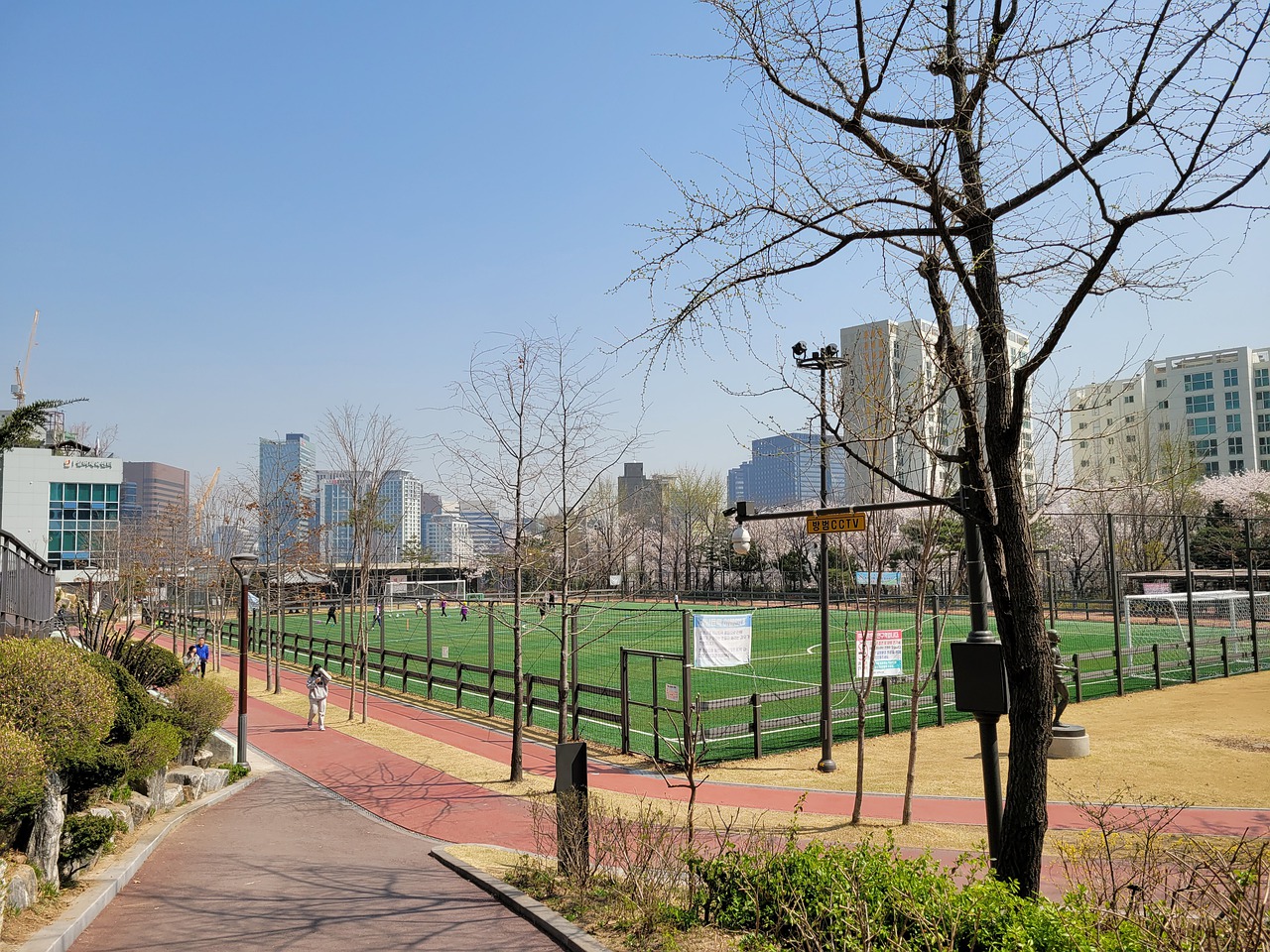 山東隊另一 山東隊另一